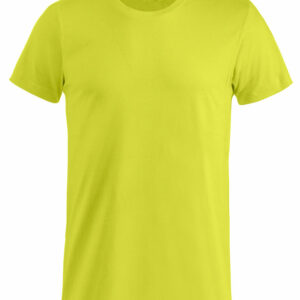 Basic-T - Vert Flash